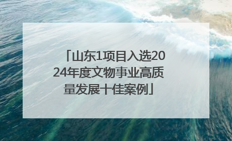 山东1项目入选2024年度文物事业高质量发展十佳案例